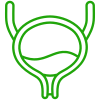 Urology